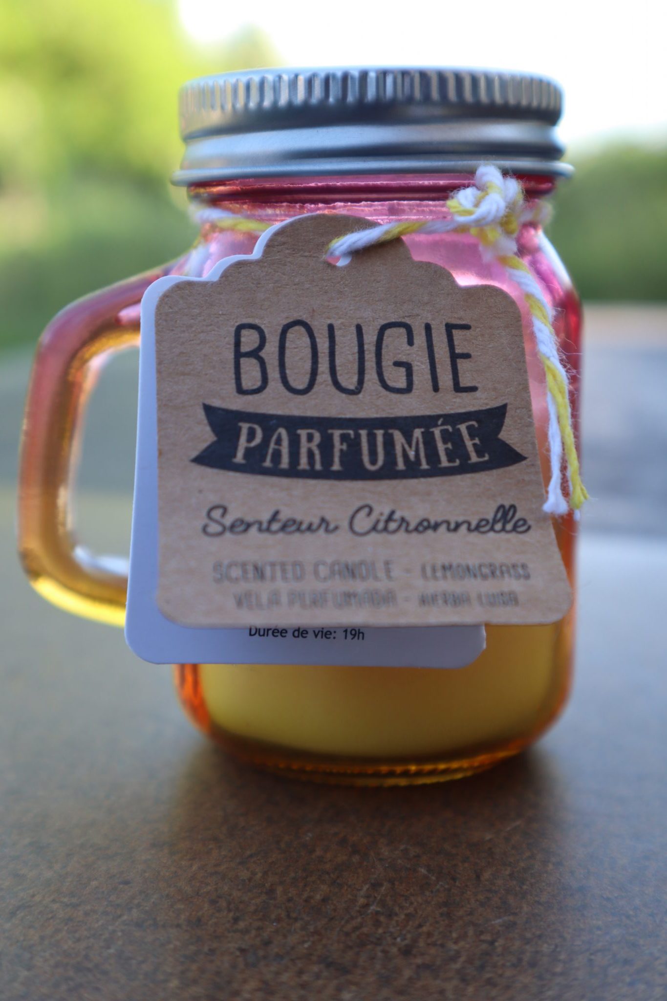 la vie est belle avec la citronelle (2)